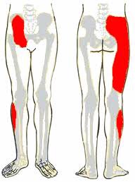 si joint pain referral patterns