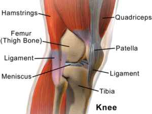 Knee-Injury-Phyiosheal